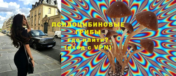 дживик Армянск