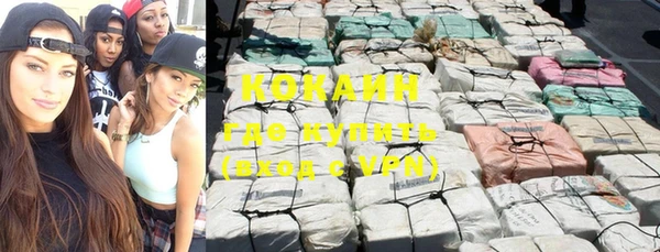 стафф Аркадак